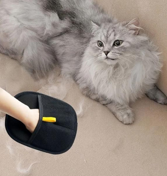 Pet Hair Removal Gloves – Double-Sided Grooming & Fur Cleaning Glove for Dogs & Cats