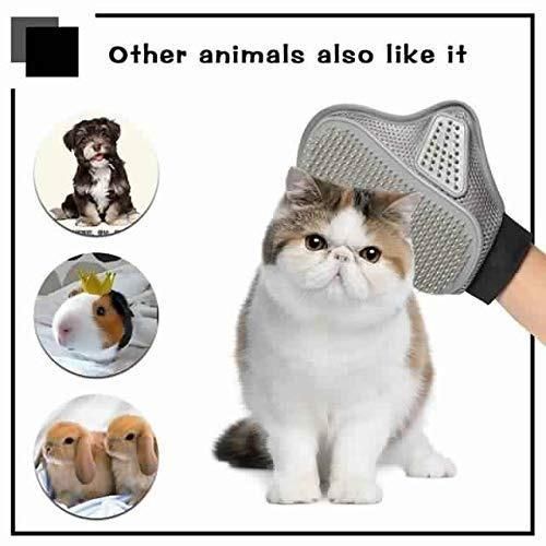 Stainless Steel Pet Grooming Gloves – Gentle Deshedding Brush for Dogs & Cats (1 Pair)