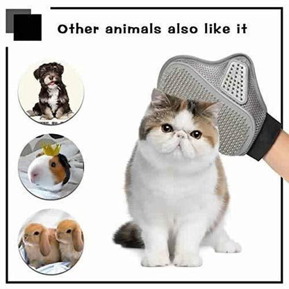 Stainless Steel Pet Grooming Gloves – Gentle Deshedding Brush for Dogs & Cats (1 Pair)